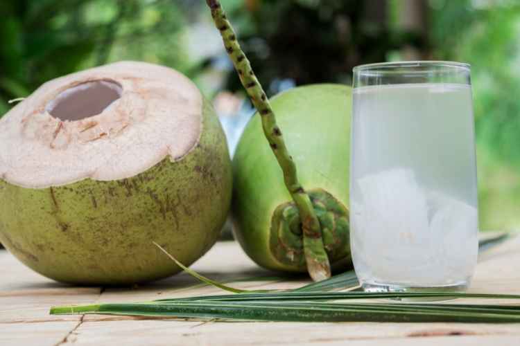 How Much Shelf Life Does Coconut Water Have?