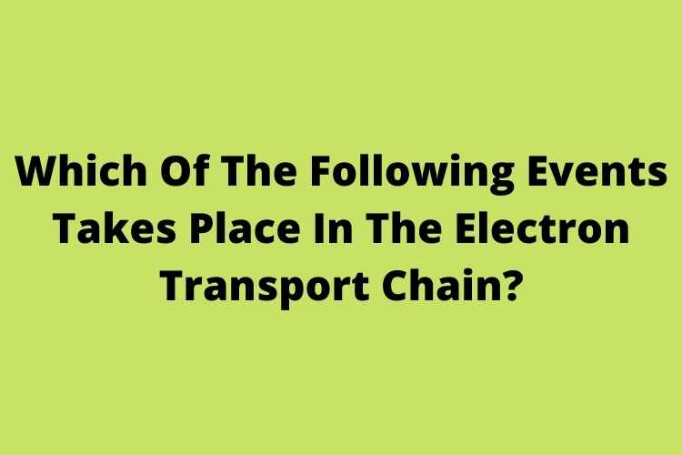 Which Of The Following Events Takes Place In The Electron Transport Chain?